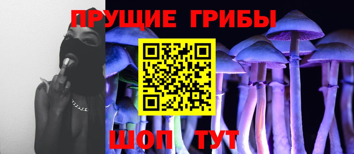 Галлюциногенные грибы прущие грибы  Вход с VPN  Дедовск 